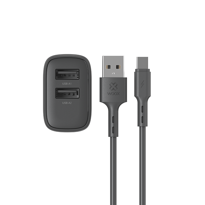 Enchufe 2 USB + cable