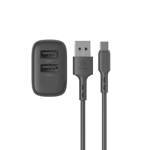 Enchufe 2 USB + cable