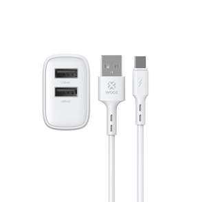 Enchufe 2 USB + cable