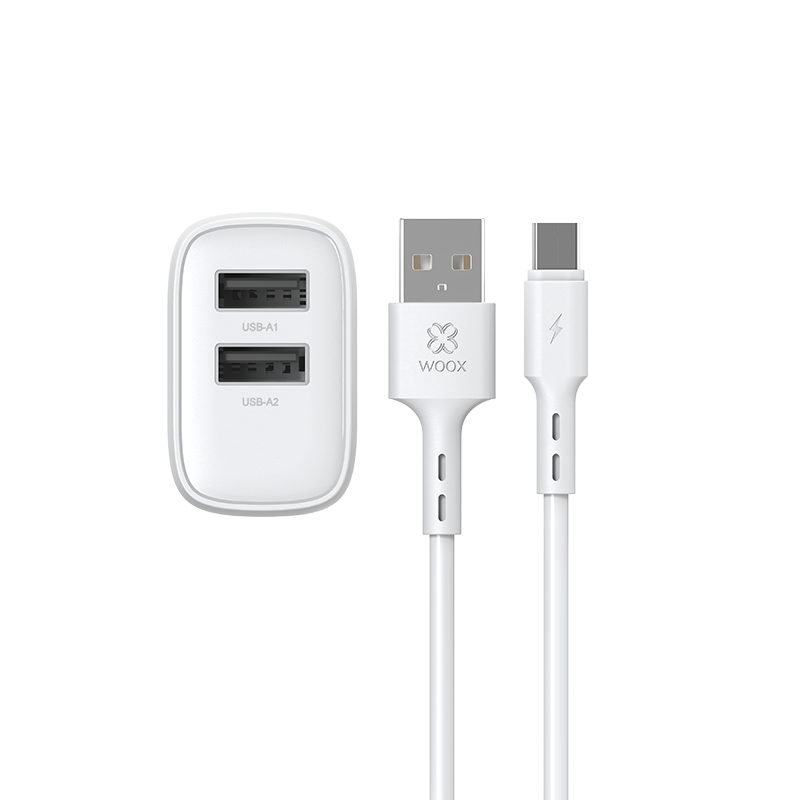 Enchufe 2 USB + cable
