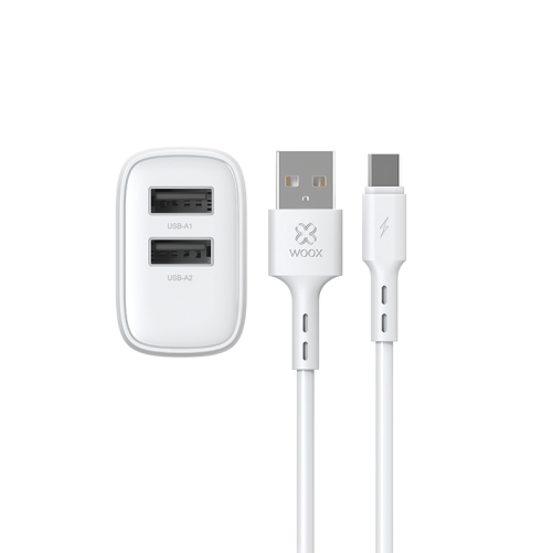 Enchufe 2 USB + cable