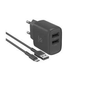 Enchufe 2 USB + cable