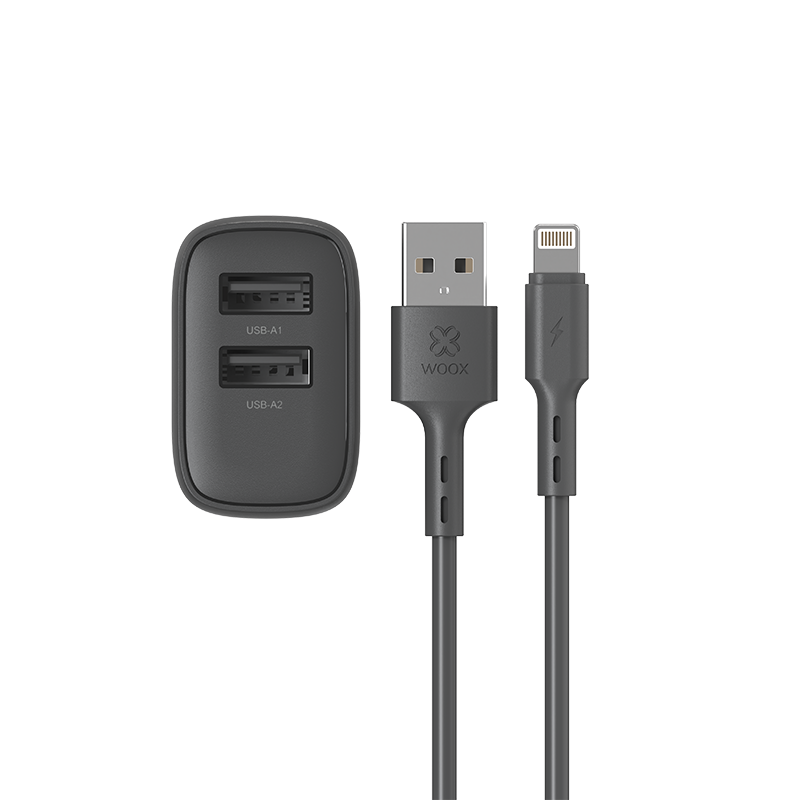 Enchufe 2 USB + cable