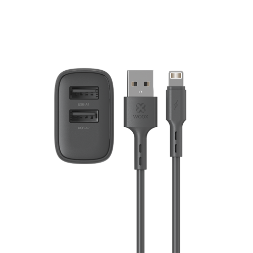 Enchufe 2 USB + cable